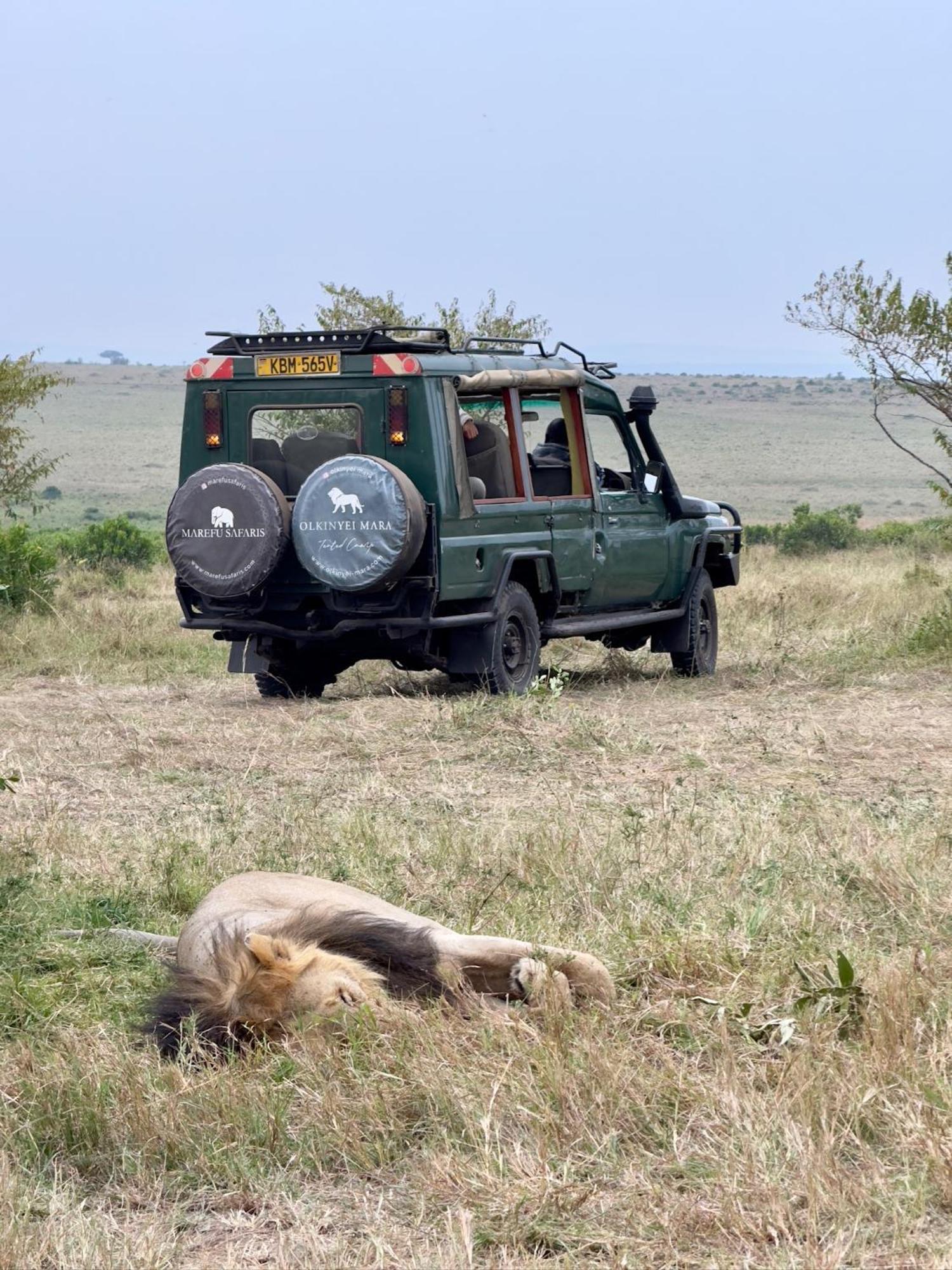 Olkinyei Mara Tented Camp Talek Exterior foto